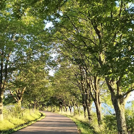 Apartamento Old Town Apartment, Free Parking *