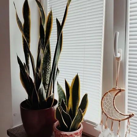 Old Town Apartment, Free Parking Apartamento Liptovský Mikuláš