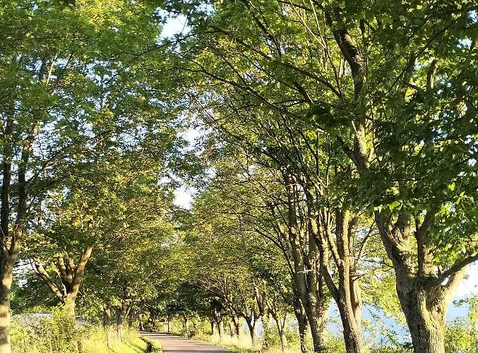 Daire Old Town Apartment, Free Parking *