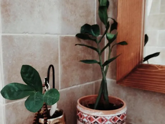 Daire Old Town Apartment, Free Parking