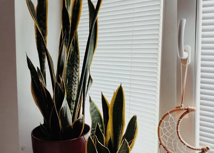 Old Town Apartment, Free Parking Lejlighed Liptovský Mikuláš